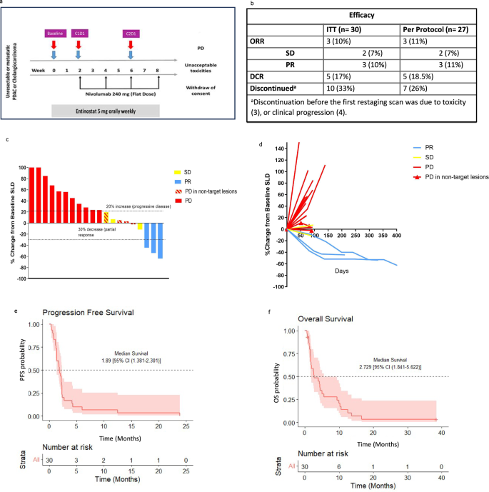 Fig. 2: Clinical responses to entinostat and nivolumab.
