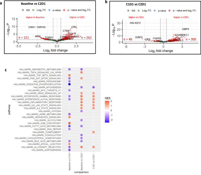 Fig. 7: RNA-seq analysis of differentially expressed genes between baseline and on treatment samples in this study cohort of PDA.