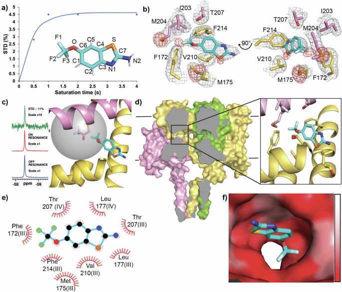 Fig. 2: Riluzole interaction with NavMs reveals an atypical VGSC binding site.