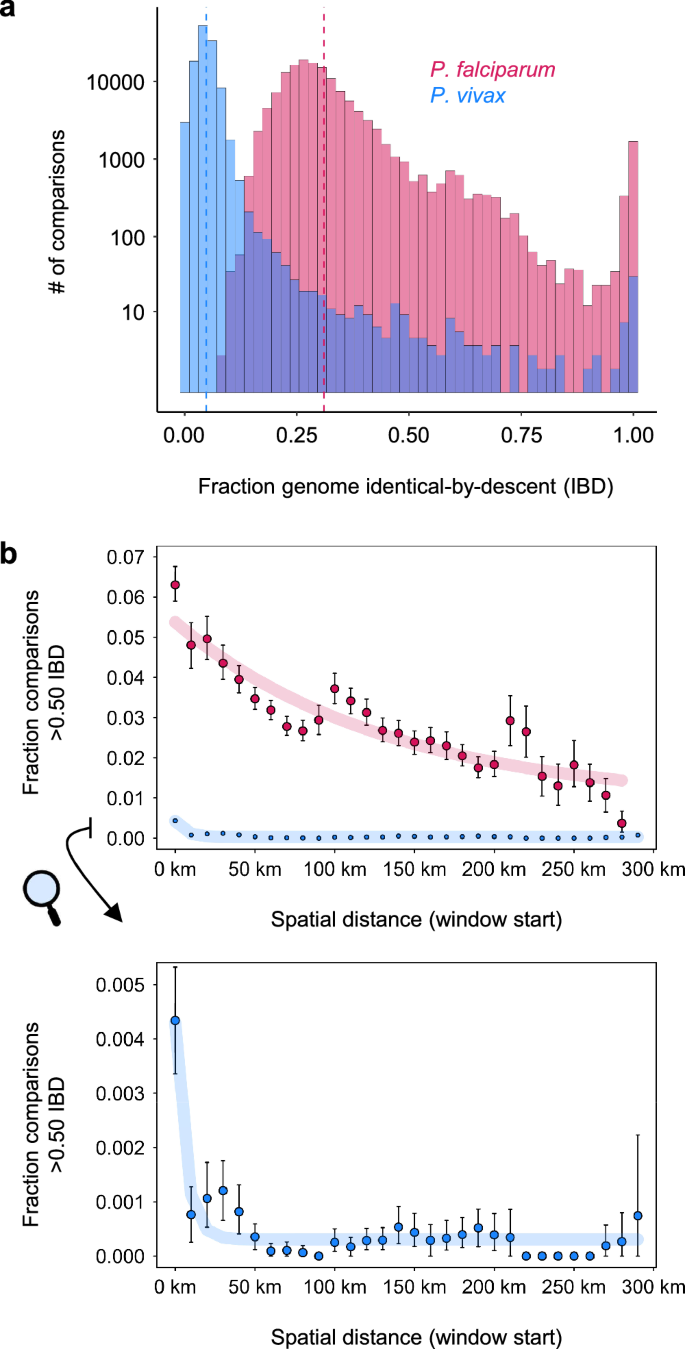 Fig. 3: Pairwise IBD and relationships to spatial distance in P. falciparum and P. vivax in Guyana.