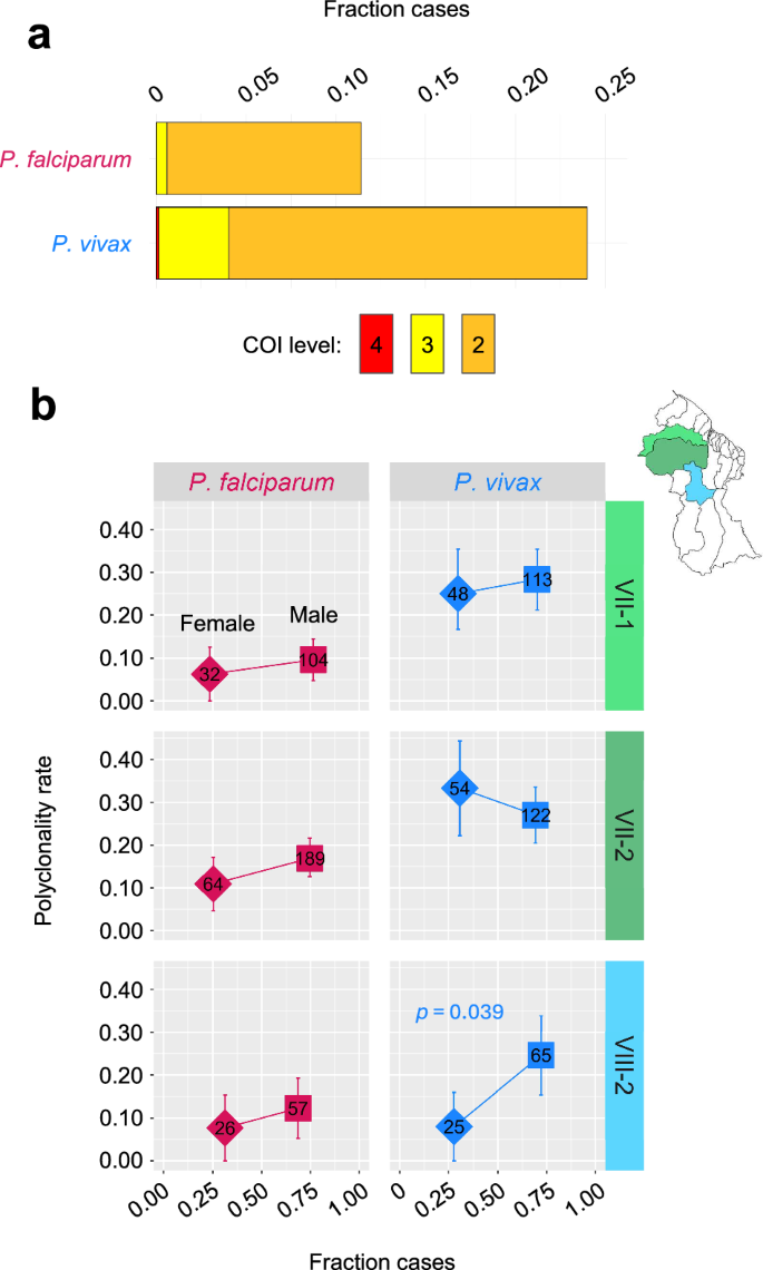 Fig. 6: Polyclonality rates and relationships to patient gender in P. falciparum and P. vivax in Guyana.