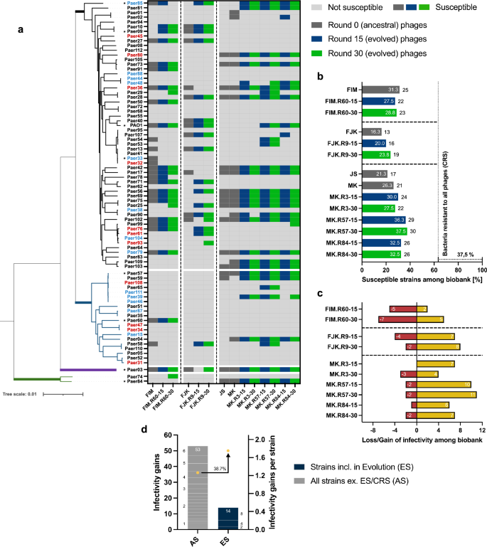 Fig. 2: Host range analysis of unevolved and evolved phages.