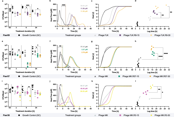 Fig. 3: Antibiofilm and antimicrobial activity of unevolved and evolved phages.
