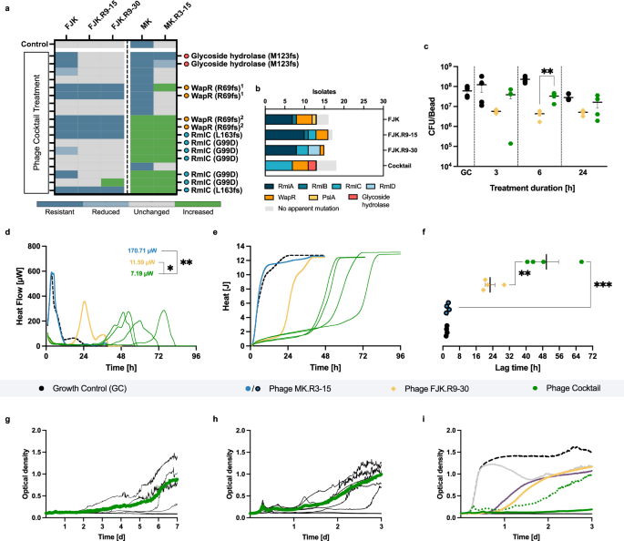 Fig. 6: Antibiofilm and antimicrobial activity of the phage cocktail.