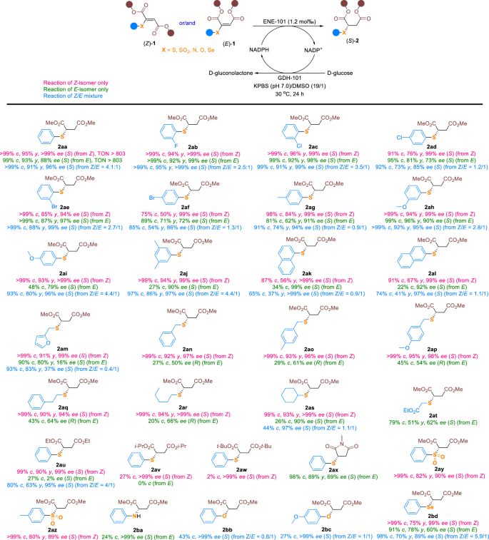 Fig. 2: Scope of fumarate and maleate substrates.