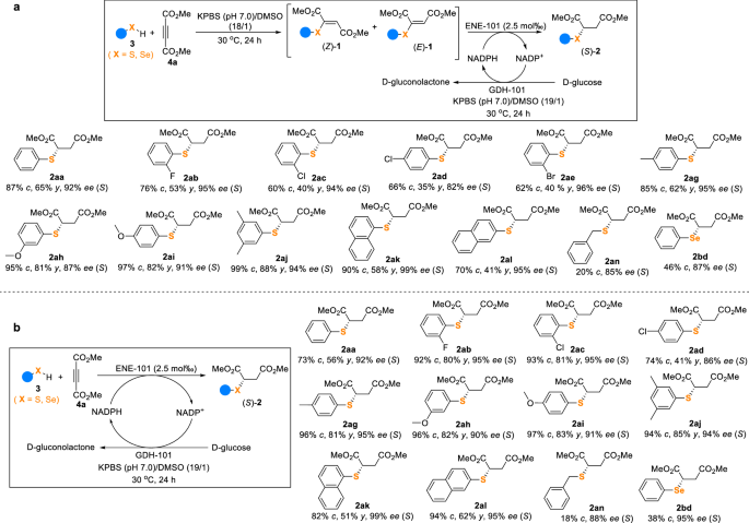 Fig. 3: Scope of the chemoenzymatic cascades for chiral sulfide synthesis.
