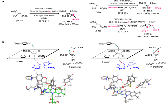 Fig. 4: Mechanistic Studies.