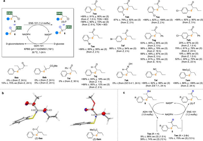 Fig. 5: Scope of α/β-thio electron-deficient alkenes and Fukui function analysis.