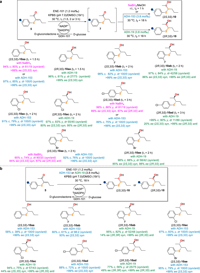 Fig. 6: Scope of bio-chemo/bio-bio cascades for β-hydroxysulfide synthesis.
