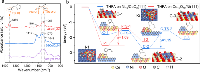 Fig. 3: Selective adsorption and activation of oxygenic groups on catalyst surface.