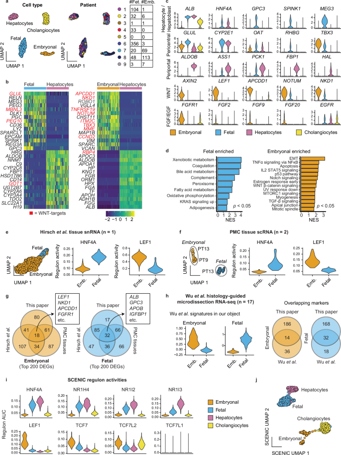 Fig. 1: Single-cell RNA-seq analysis of primary tumor material illustrates fetal and embryonal tumor signatures.