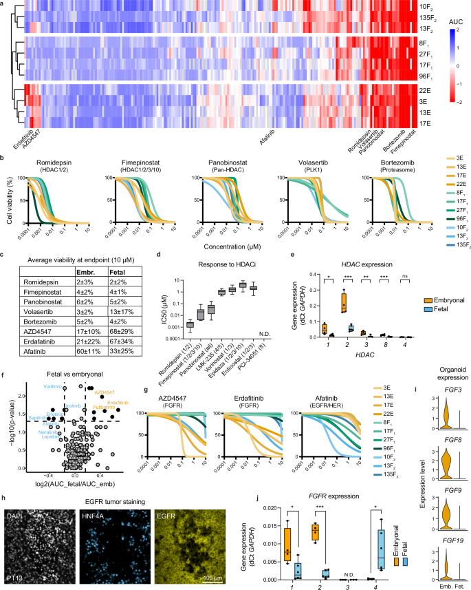 Fig. 6: High-throughput drug screening of tumor organoids provides insight into targetable pathways.