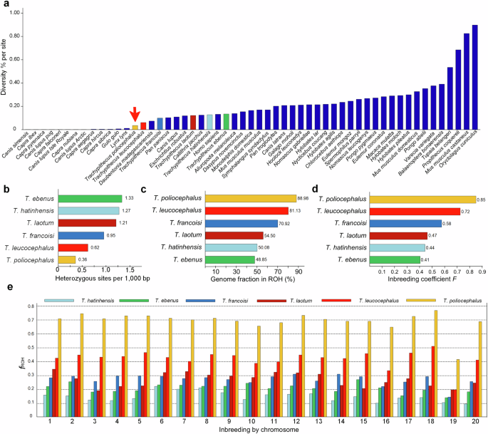Fig. 2: Genetic diversity and inbreeding in Cat Ba langurs.