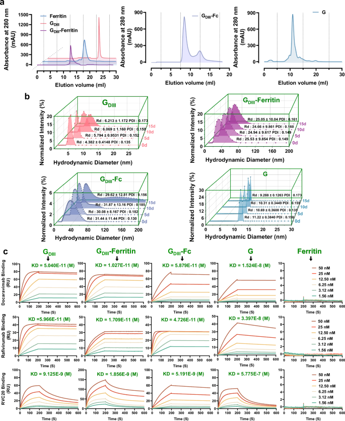 Fig. 4: Stability and antigenic evaluation of the rabies subunit vaccines.