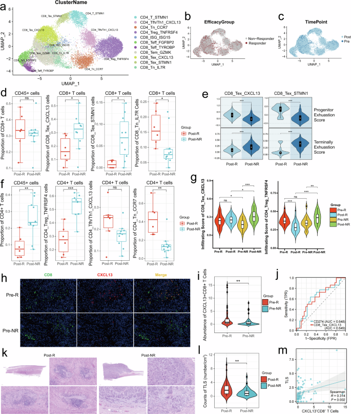 Fig. 2: T cell heterogeneity of distinct efficacy groups.