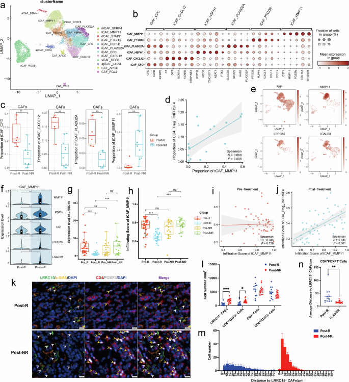 Fig. 5: Significant enrichment of LRRC15+ CAFs following immunotherapy in nonresponsive ESCC.