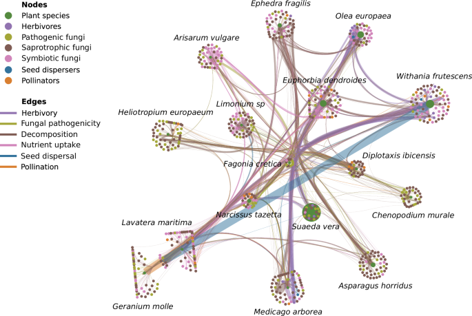 futuristic visualization of multi-species communication network with interconnected nodes representing different animals in ecosystem
