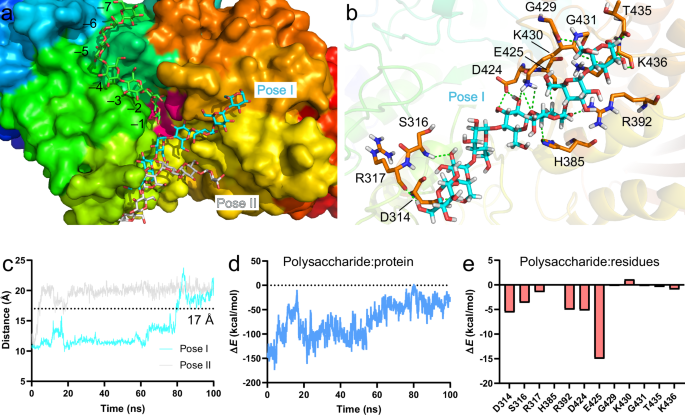 Fig. 6: SBTs for transglycosylation.