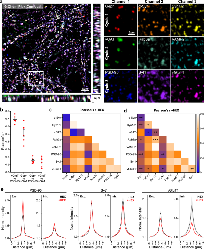 Fig. 6: Studying 9 synaptic proteins and the effect of 1.6-Hexanediol (HEX) using ChemiPlex.