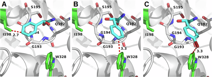 Fig. 4: Molecular docking studies based on virtual screening results.