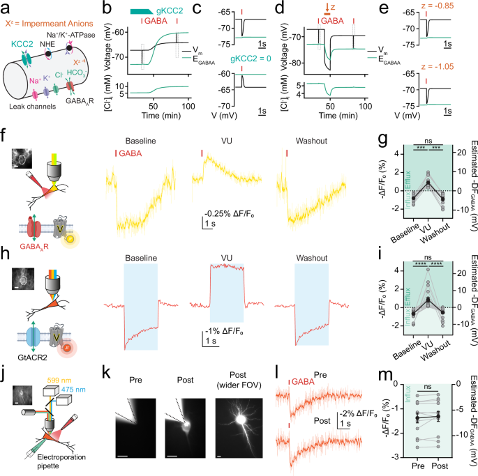 Fig. 3: ORCHID strategies confirm theoretical predictions regarding inhibitory receptor driving force.