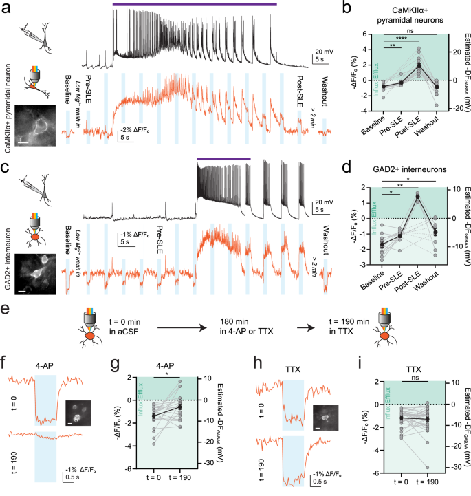 Fig. 4: ORCHID reveals dynamic inhibitory receptor driving forces over different timescales.