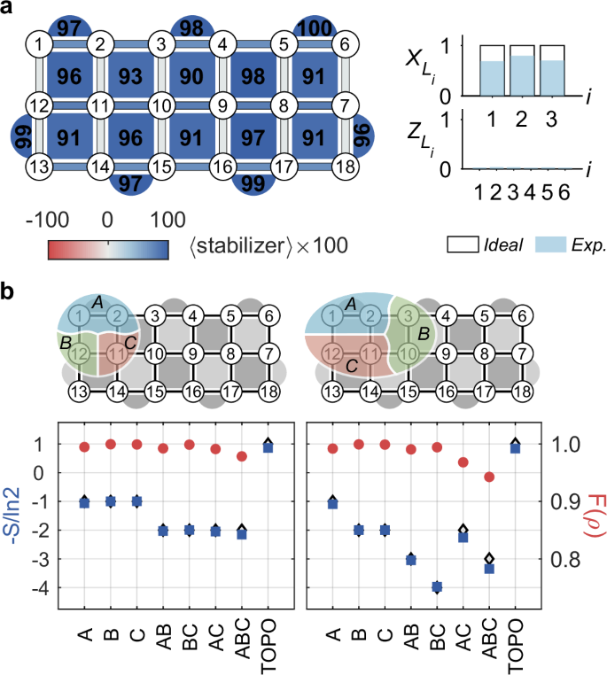 Fig. 3: Measured stabilizer values and topological entanglement entropy for a Floquet eigenstate.