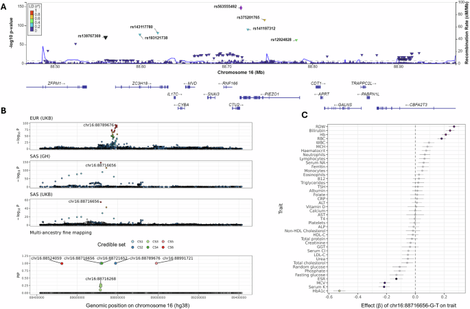 Fig. 4: Cross-ancestry meta-analysis and fine mapping at the PIEZO1 locus for HbA1c.