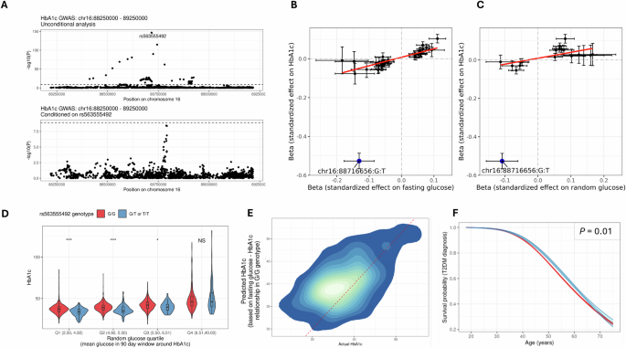 Fig. 5: The PIEZO1 missense variant chr16-88716656-G-T influences HbA1c by affecting red blood cell lifespan, and is associated with a delay in T2DM diagnosis.