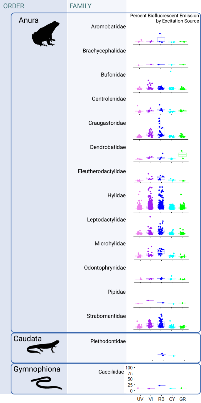 Fig. 1: Biofluorescent emission by taxonomic family.