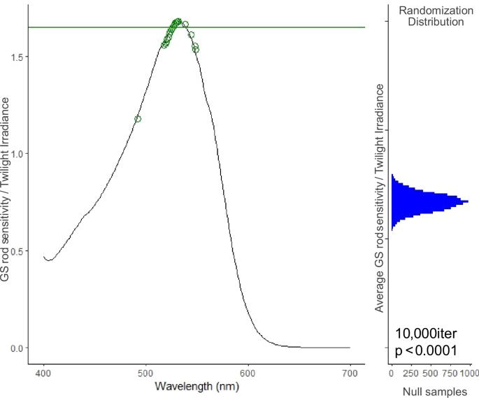 Fig. 5: Biofluorescence increases visibility among anurans at twilight.