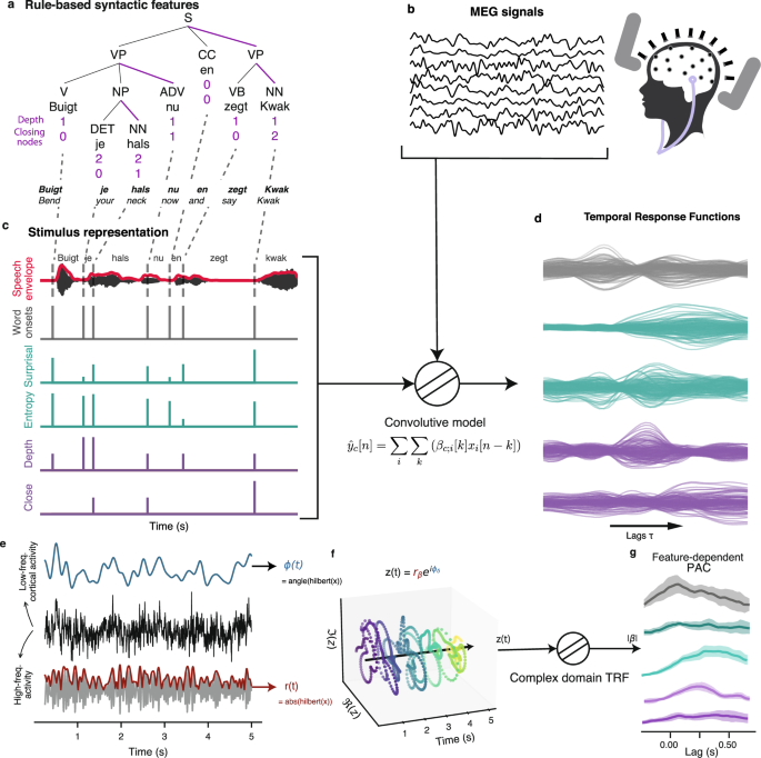 Fig. 1: Data analysis workflow and presentation of feature-dependent phase-amplitude coupling (PAC) computation.