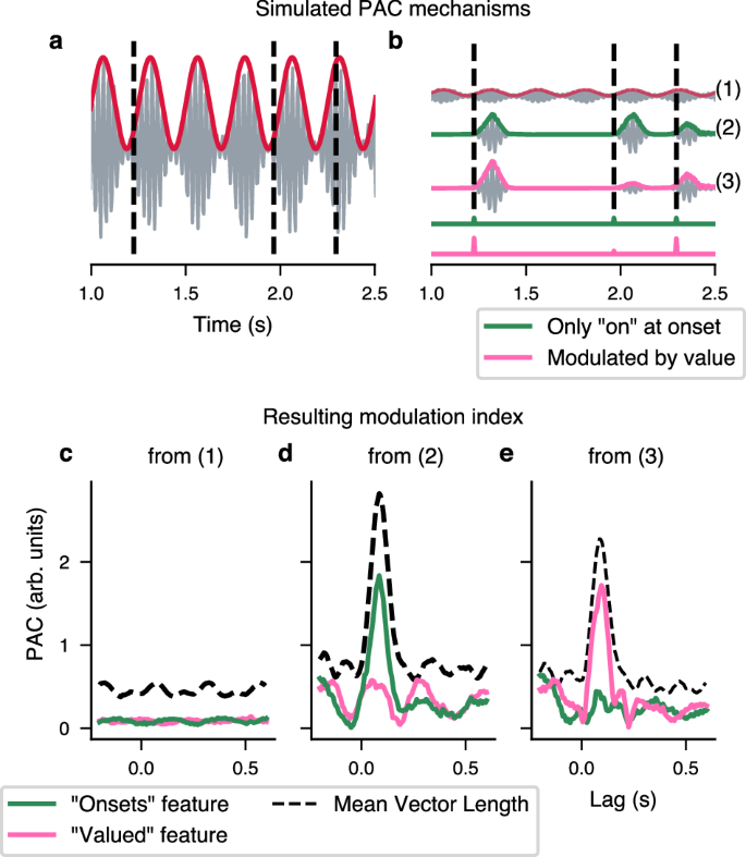 Fig. 6: Simulation of feature-dependent Phase Amplitude Coupling (PAC) and estimation thereof.