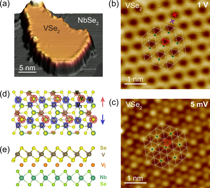 Artificial superconducting Kondo lattice in a van der Waals ...
