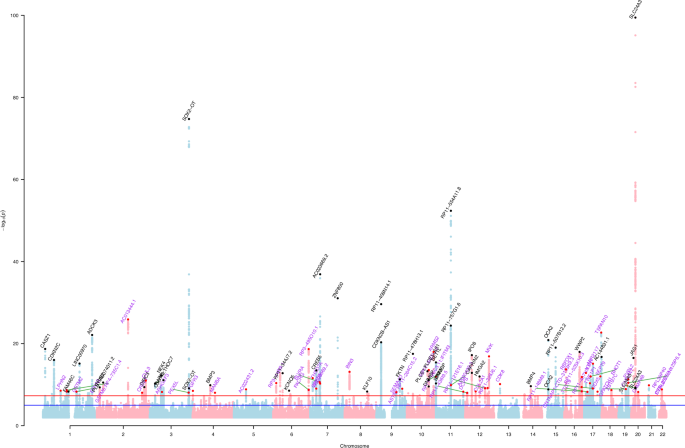 Fig. 1: Manhattan plot showing results for the GWAS meta-analysis of cataracts; p values derived from logistic regression models are two-sided.