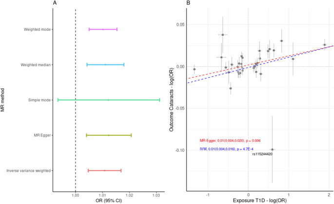 Fig. 3: MR results of the putative causal association between cataracts and type 1 diabetes (N = 33).