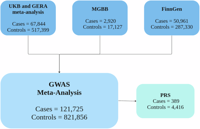 Fig. 5: Cohorts included in the cataract meta-analysis and polygenic risk score (PRS) analysis.