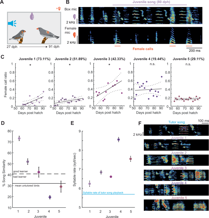 Fig. 3: Correlated female calls to juvenile practice improve song learning.