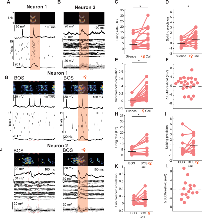 Fig. 4: Female vocalizations elicit neural responses in a subset of HVC projection neurons in juvenile birds.