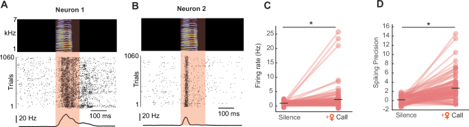 Fig. 5: Female vocalizations elicit neural responses in a subset of HVC projection neurons in adult birds.