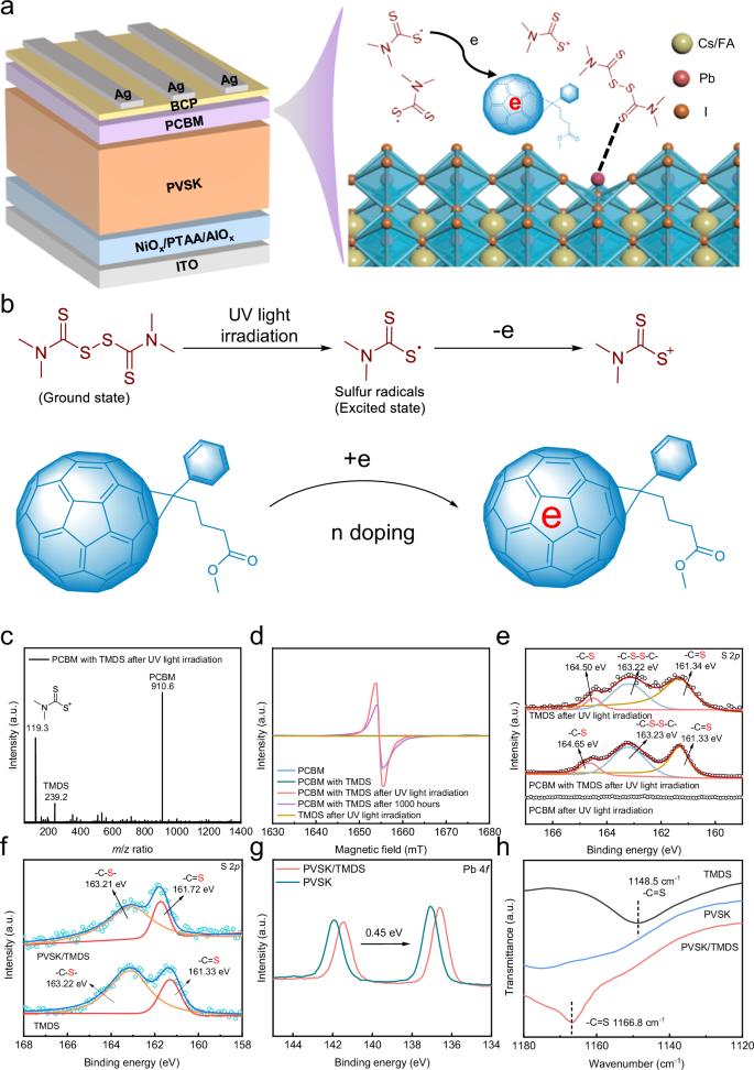 Efficient and stable inverted perovskite solar cells enabled by ...