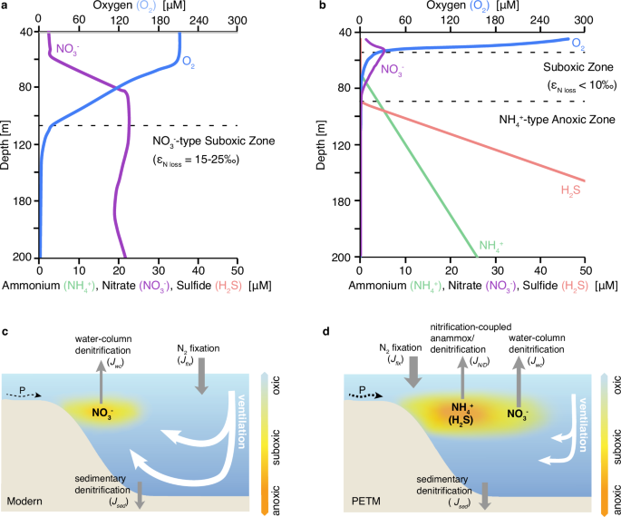 Fig. 2: Comparison between “nitrate-type” and “ammonium-type” oxygen-deficient zones (ODZs).