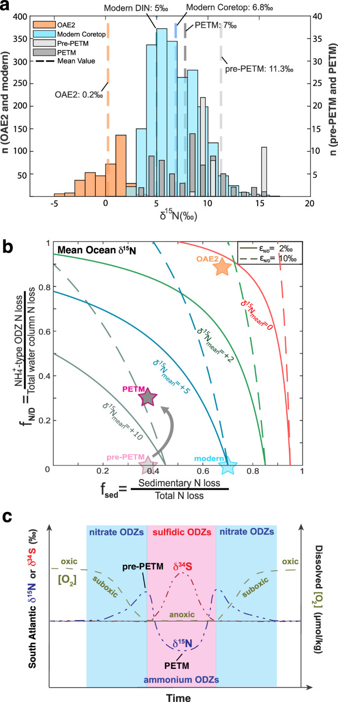 Fig. 3: Evolutionary history of marine nitrogen cycling.