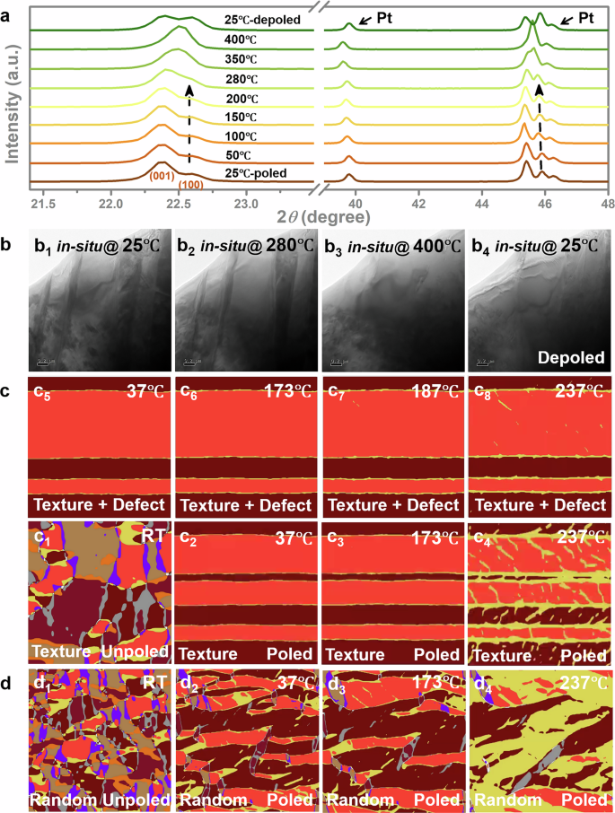 Fig. 4: Temperature-induced phase structure and domain structure evolution.