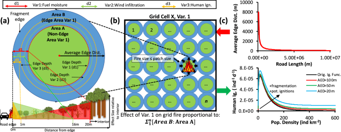 Fig. 1: The conceptual implementation of road fragmentation in ORCHIDEE-SPITFIRE.