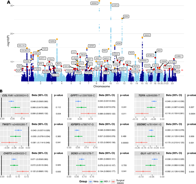 Fig. 1: Manhattan plot and lead variant effect size comparison with sensitivity analyses.