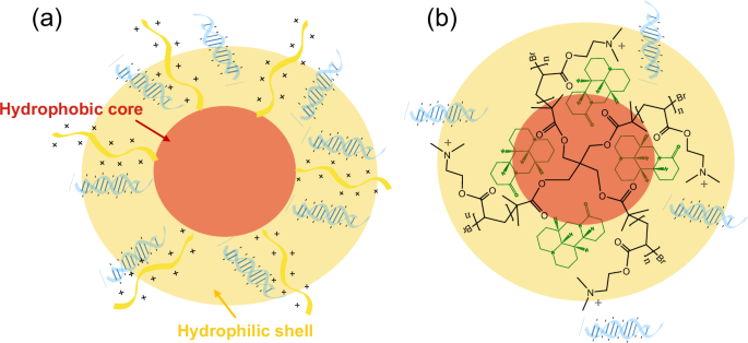 Fig. 4: Core-shell nanoparticles for co-delivery of dsRNA and pesticides in RNA interference applications.