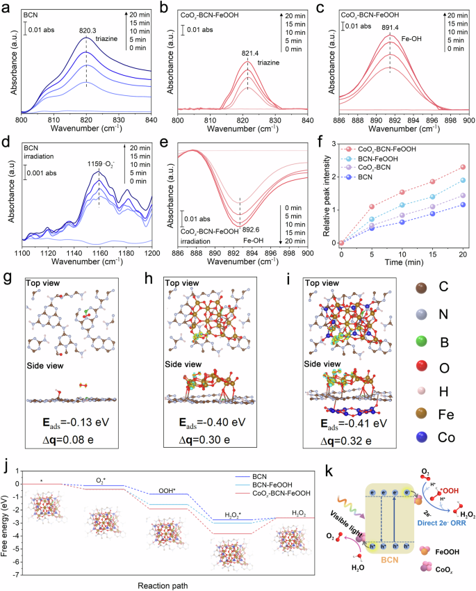 Fig. 5: Mechanism of H2O2 photosynthesis on CoOx-BCN-FeOOH.