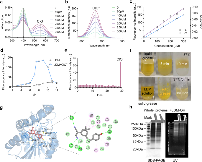 Fig. 2: Optical selectively, physical properties characterization of LDM in vitro.