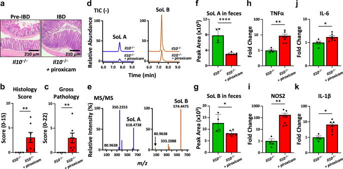 Fig. 3: SoLs are decreased in a mouse model of colitis concurrent with increased expression of inflammatory markers.